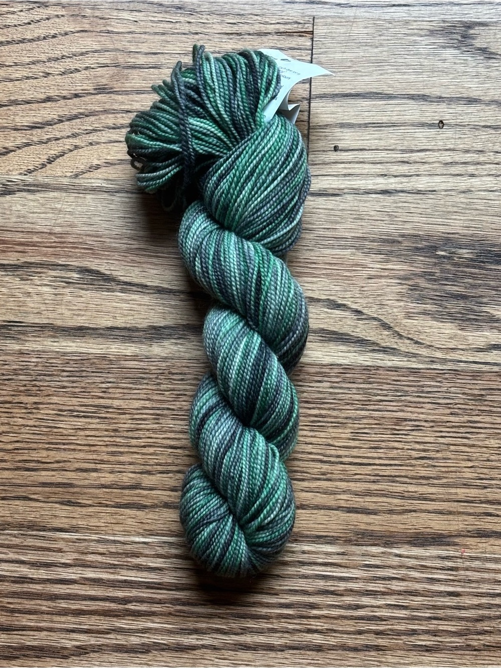 Koigu KPPPM Yarn 100% Merino Wool  175 yds Color Variegated P331-0008 Green NWT